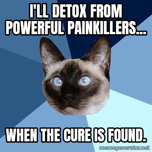Chronic Illness Cat meme: I'll detox from powerful painkillers... / When the cure is found.