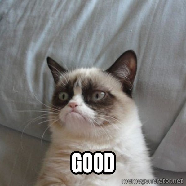 Grumpy cat good meme: GOOD