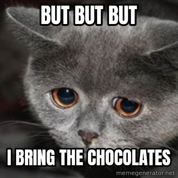 Sadcat meme: but but but / i bring the chocolates
