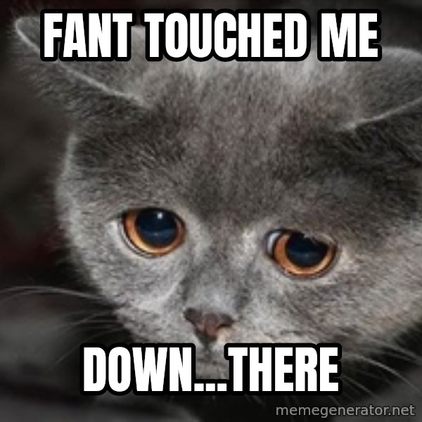 Sadcat meme: Fant touched me / down...there