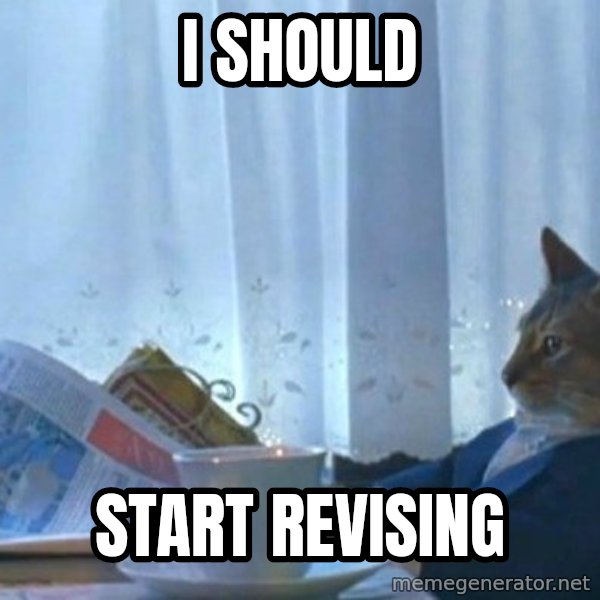 newspaper cat realization meme: I SHOULD / START REVISING