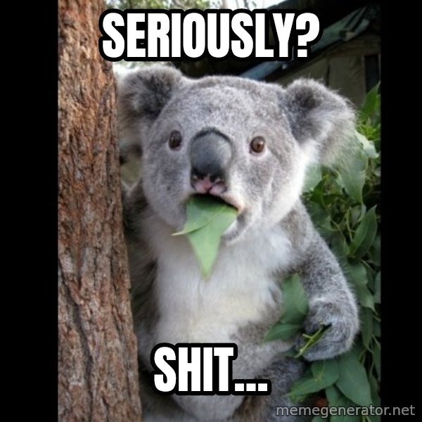 Koala can't believe it meme: SERiouslY? / SHit...