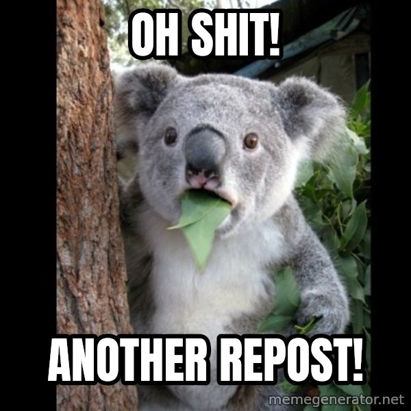 Koala can't believe it meme: OH SHIT! / Another repost!