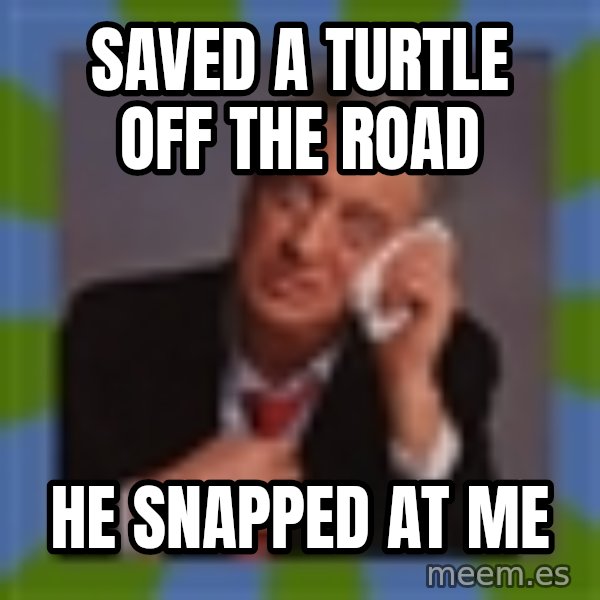 Rodney Dangerfield meme: Saved a turtle off the road / he snapped at me