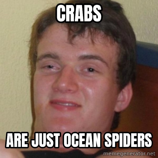 Stoner Guy meme: Crabs / Are just ocean spiders