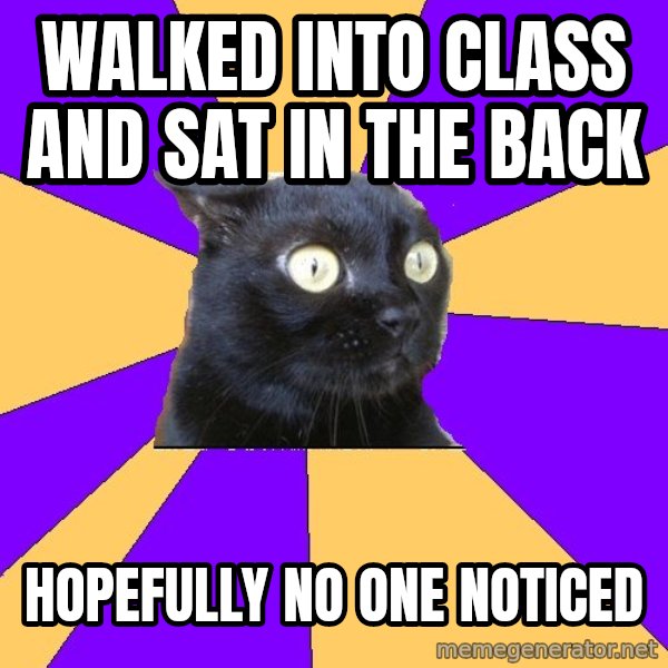 Anxiety Cat meme: walked into class and sat in the back / hopefully no one noticed