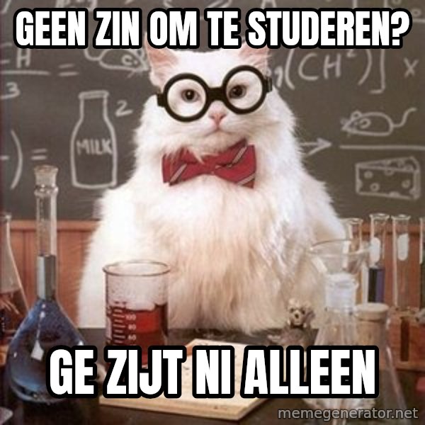 Chemistry Cat meme: geen zin om te studeren? / ge zijt ni alleen