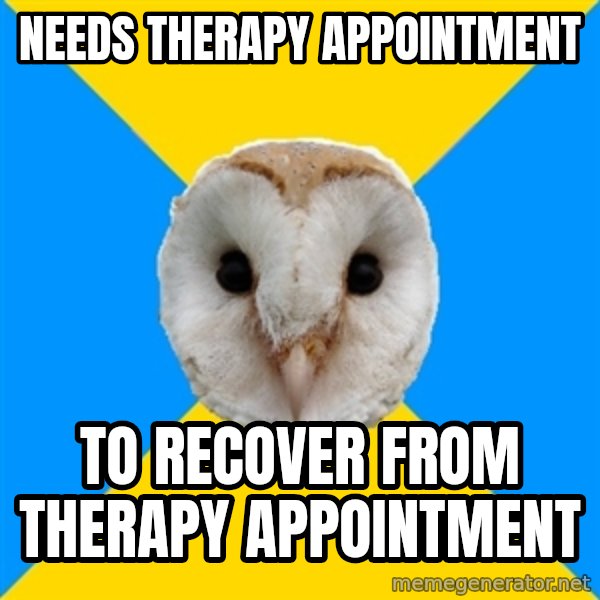 Bipolar Owl meme: Needs therapy appointment / To recover from therapy appointment