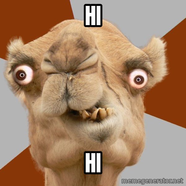 Crazy Camel lol meme: hi / hi