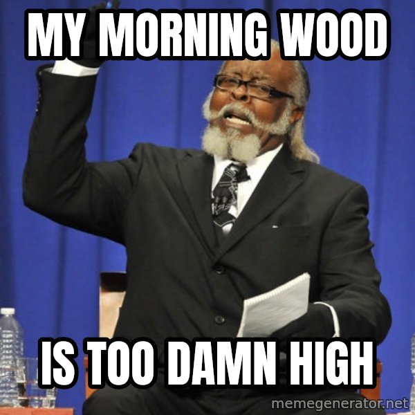 Rent Is Too Damn High meme: my morning wood / Is Too Damn High