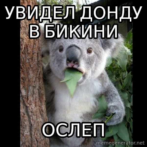 Koala can't believe it meme: увидел донду в бикини / ослеп