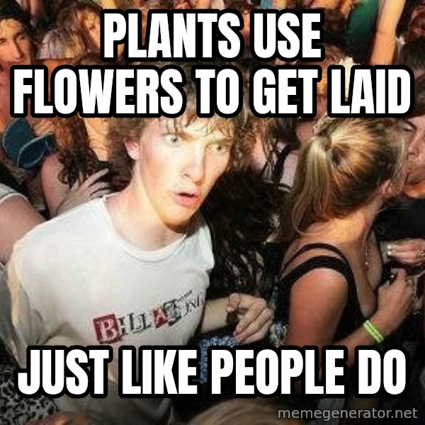 -Sudden Clarity Clarence meme: plants use flowers to get laid / just like people do