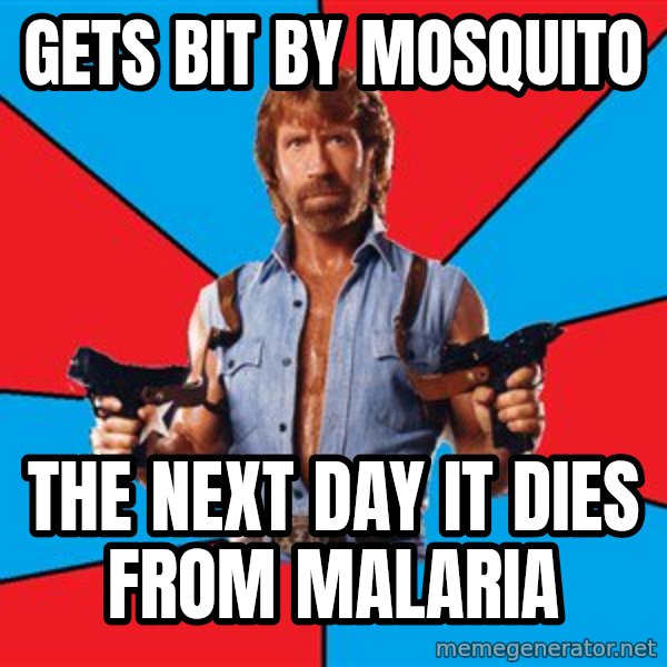 Chuck Norris  meme: Gets bit by mosquito / the next day it dies from malaria