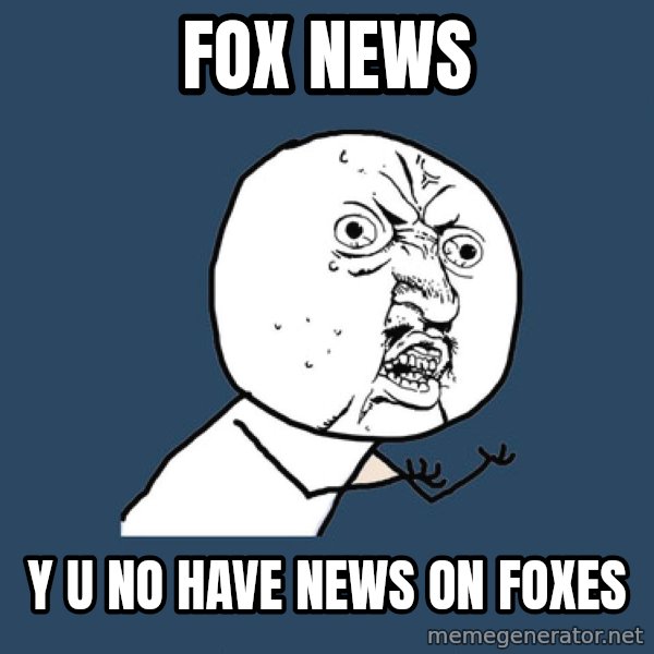 Y U No meme: Fox News / Y u no have news on foxes