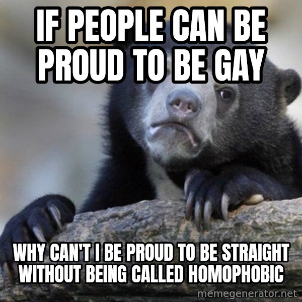 Confession Bear meme: If people can be proud to be gay / why can't i be proud to be straight without being called homophobic