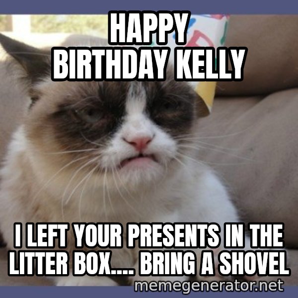 Birthday Grumpy Cat meme: Happy BirThday Kelly / I left your presents in the litter box.... Bring a shovel