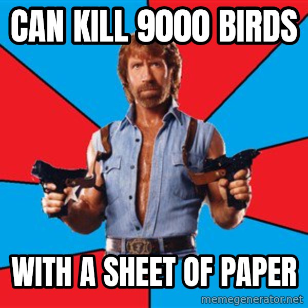 Chuck Norris  meme: can kill 9000 birds / with a sheet of paper