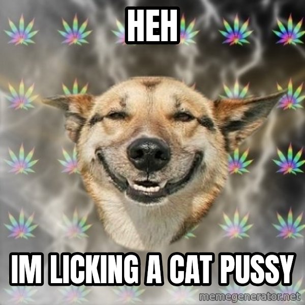 Stoner Dog meme: Heh / IM Licking a cat pussy