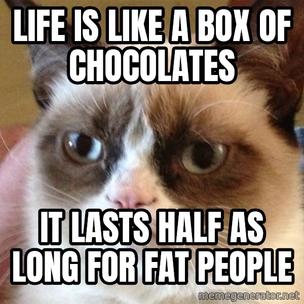 Angry Cat Meme meme: life is like a box of chocolates / it lasts half as long for fat people