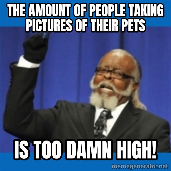 Rent Is Too Damn High meme: the amount of people taking pictures of their pets / is too damn high!