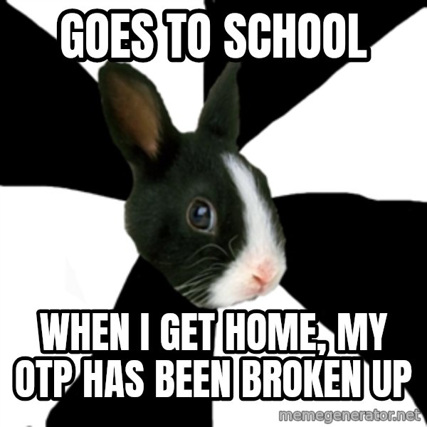 Roleplaying Rabbit meme: Goes to school / When i get home, my otp has been broken up