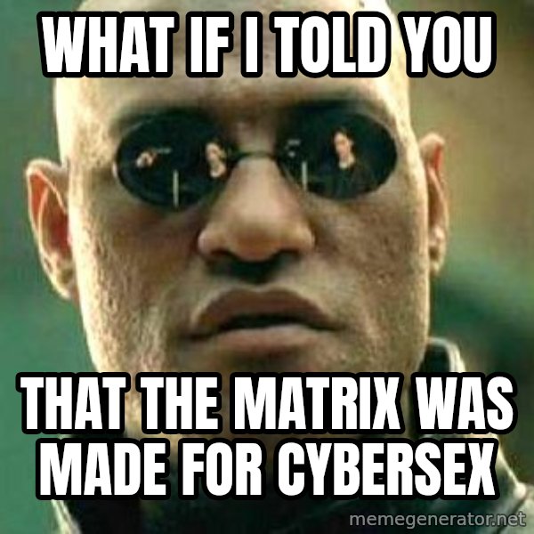 What if I told you / Matrix Morpheus meme: what if i told you / that the matrix was made for cybersex