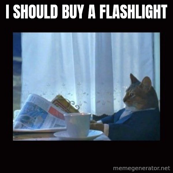 i should buy a boat cat meme: I should Buy a Flashlight