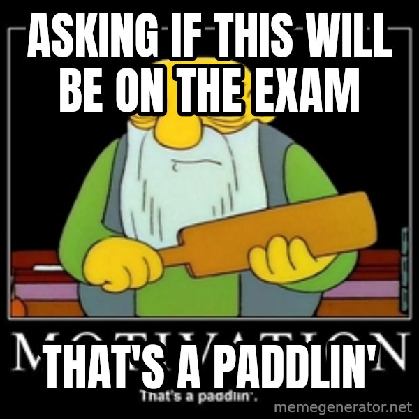 Thats a paddlin meme: Asking if this will be on the exam / that's a paddlin'