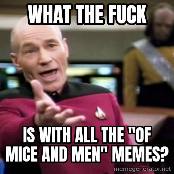 Picard Wtf meme: what the fuck / is with all the "of mice and men" memes?