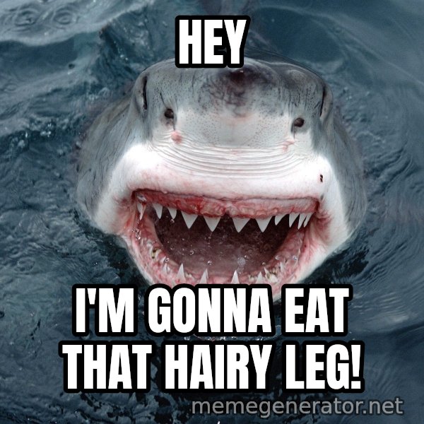 Insanity Shark meme: hey / i'm gonna eat that hairy leg!