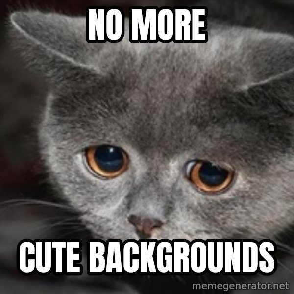 Sadcat meme: NO MORE / CUTE BACKGROUNDS