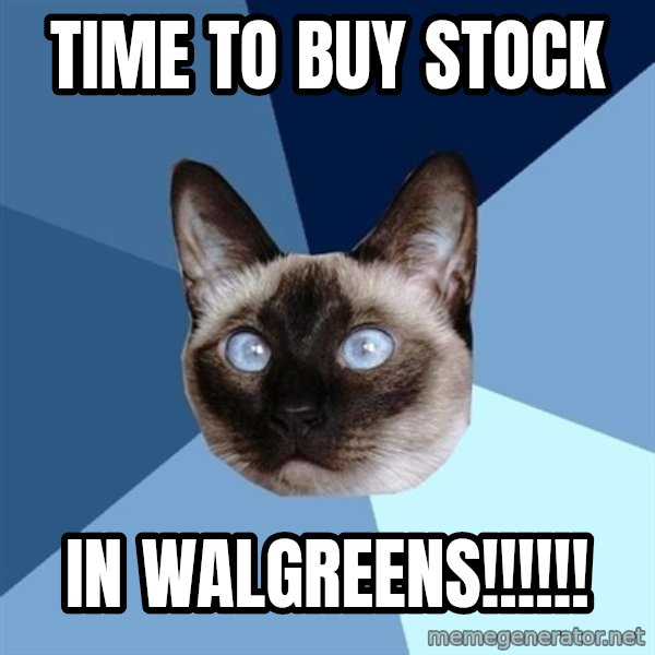 Chronic Illness Cat meme: time to buy stock / in walgreens!!!!!!