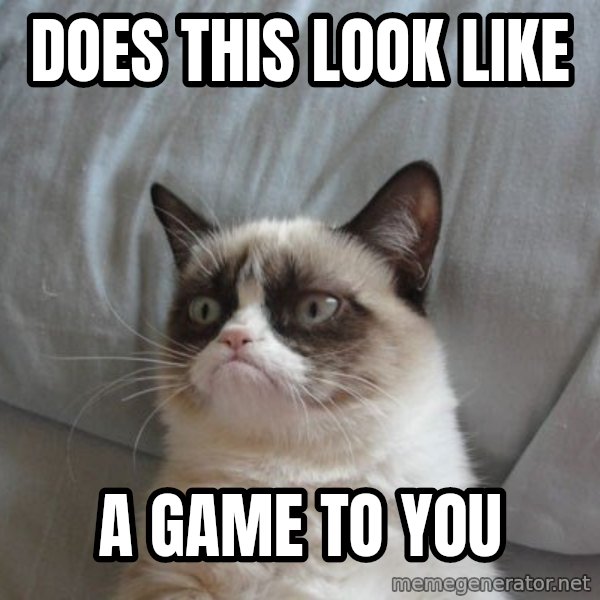 Grumpy cat good meme: Does this look like / a game to you