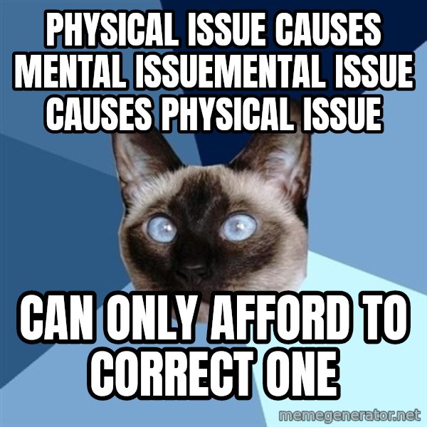 Chronic Illness Cat meme: Physical issue causes mental issuemental issue causes physical issue / Can only afford to correct one