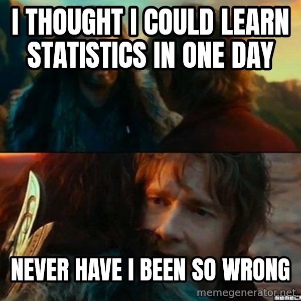 Never Have I Been So Wrong meme: i thought i could learn statistics in one day / never have i been so wrong