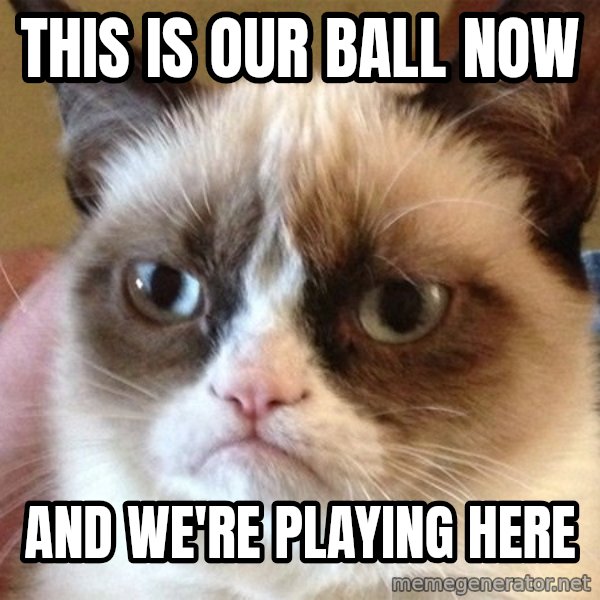 Angry Cat Meme meme: THIS IS OUR BALL NOW / AND WE'RE PLAYING HERE