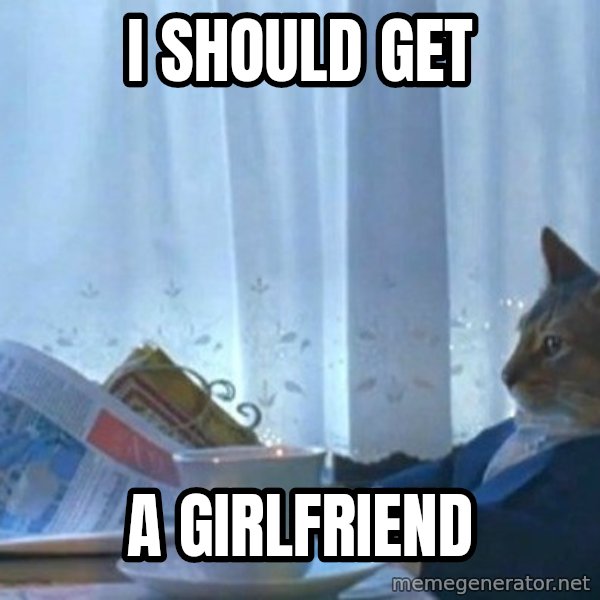 newspaper cat realization meme: I should get / a girlfriend