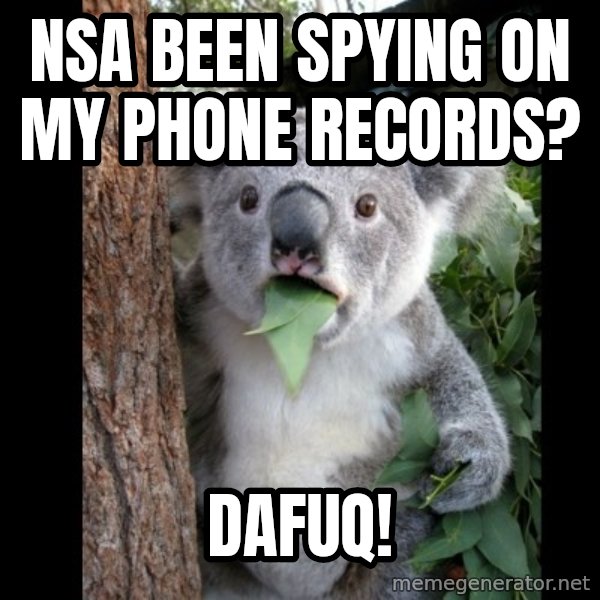 Koala can't believe it meme: NSA been spying on my phone records? / dafuq!