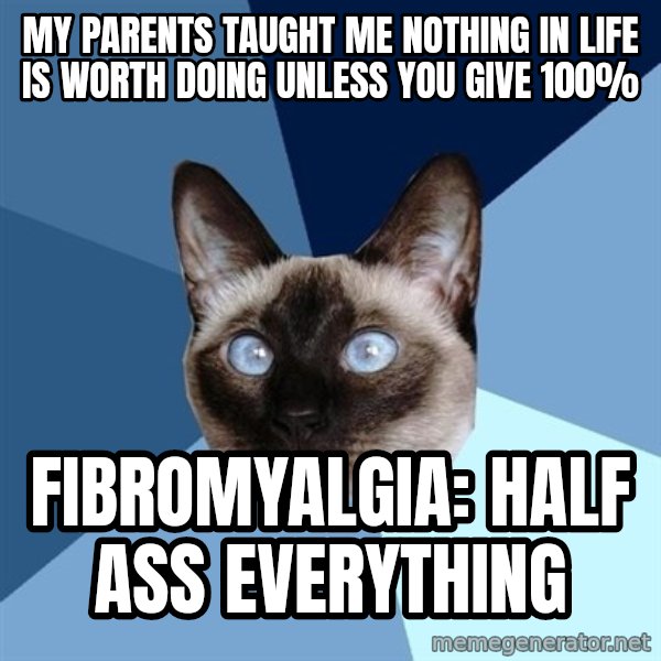 Chronic Illness Cat meme: my parents taught me nothing in life is worth doing unless you give 100% / fibromyalgia: half ass everything