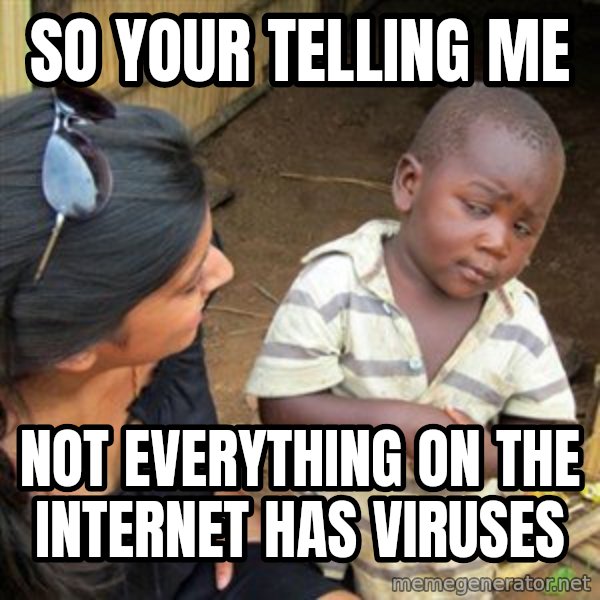 Skeptical 3rd World Kid meme: so your telling me / not everything on the internet has viruses