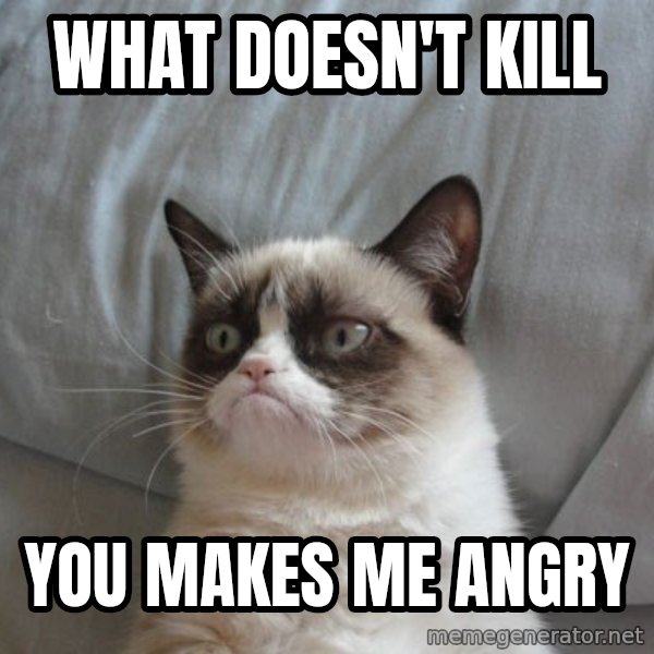 Grumpy cat good meme: WHAT DOESN'T KILL / YOU MAKES ME ANGRY