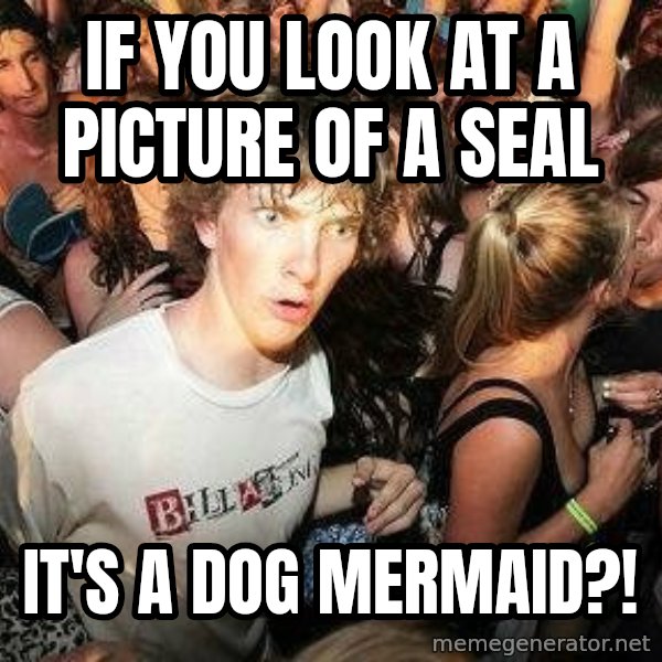 -Sudden Clarity Clarence meme: If you look at a picture of a seal / It's a dog mermaid?!