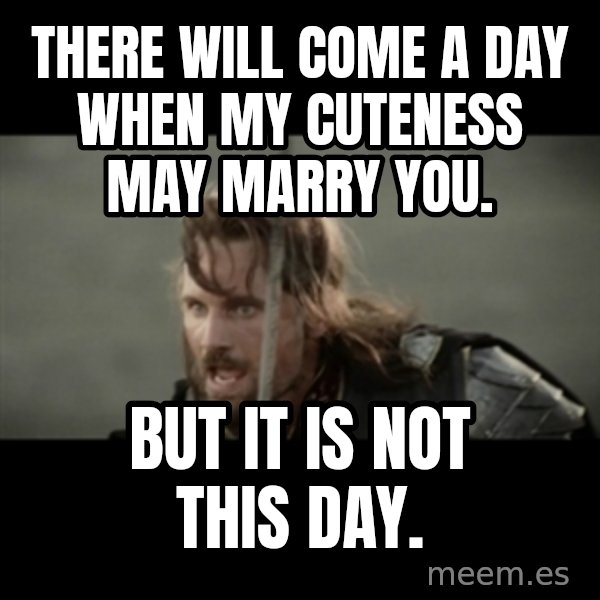 But it is not this Day ARAGORN meme: There will come a day when my cuteness may marry you. / But it is not this day.