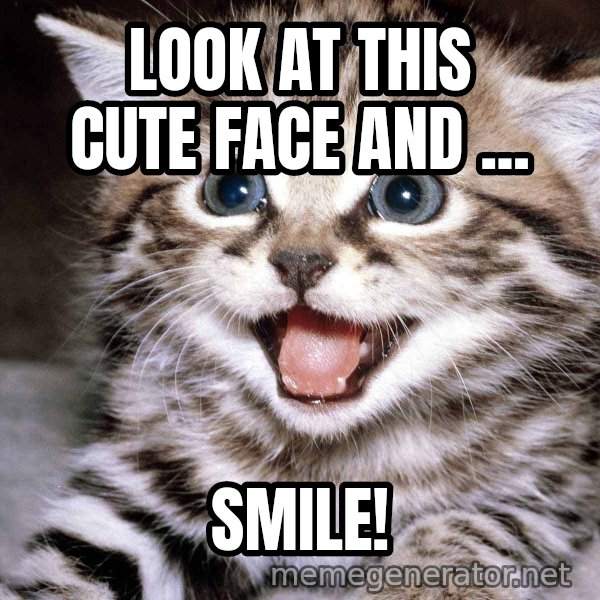 HAPPY KITTEN meme: Look at this cute face and ... / Smile!