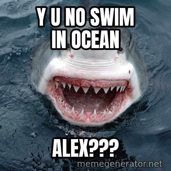Insanity Shark meme: Y  U  NO SWIM IN OCEAN / ALEX???