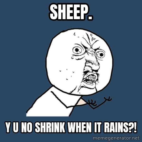 Y U No meme: sheep. / y u no shrink when it rains?!