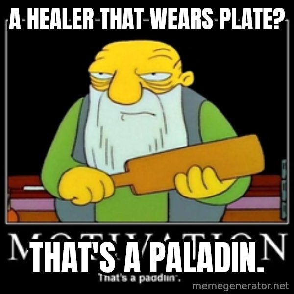 Thats a paddlin meme: A healer that wears plate? / That's a Paladin.
