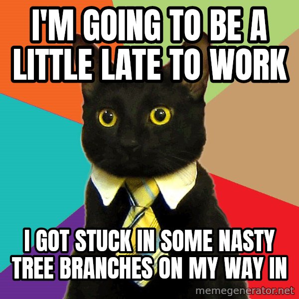 Business Cat meme: I'm going to be a little late to work / I got stuck in some nasty tree branches on my way in