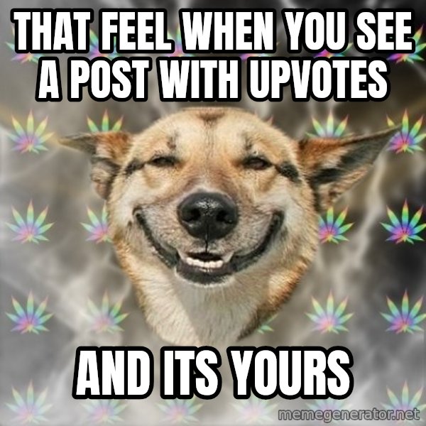Stoner Dog meme: that feel when you see a post with upvotes / and its yours