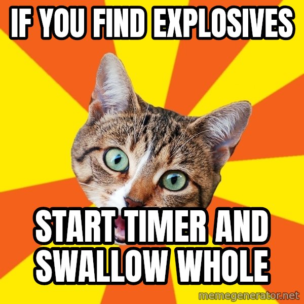 Bad Advice Cat meme: if you find explosives / start timer and swallow whole